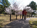 0403 (13)_thumb.jpg